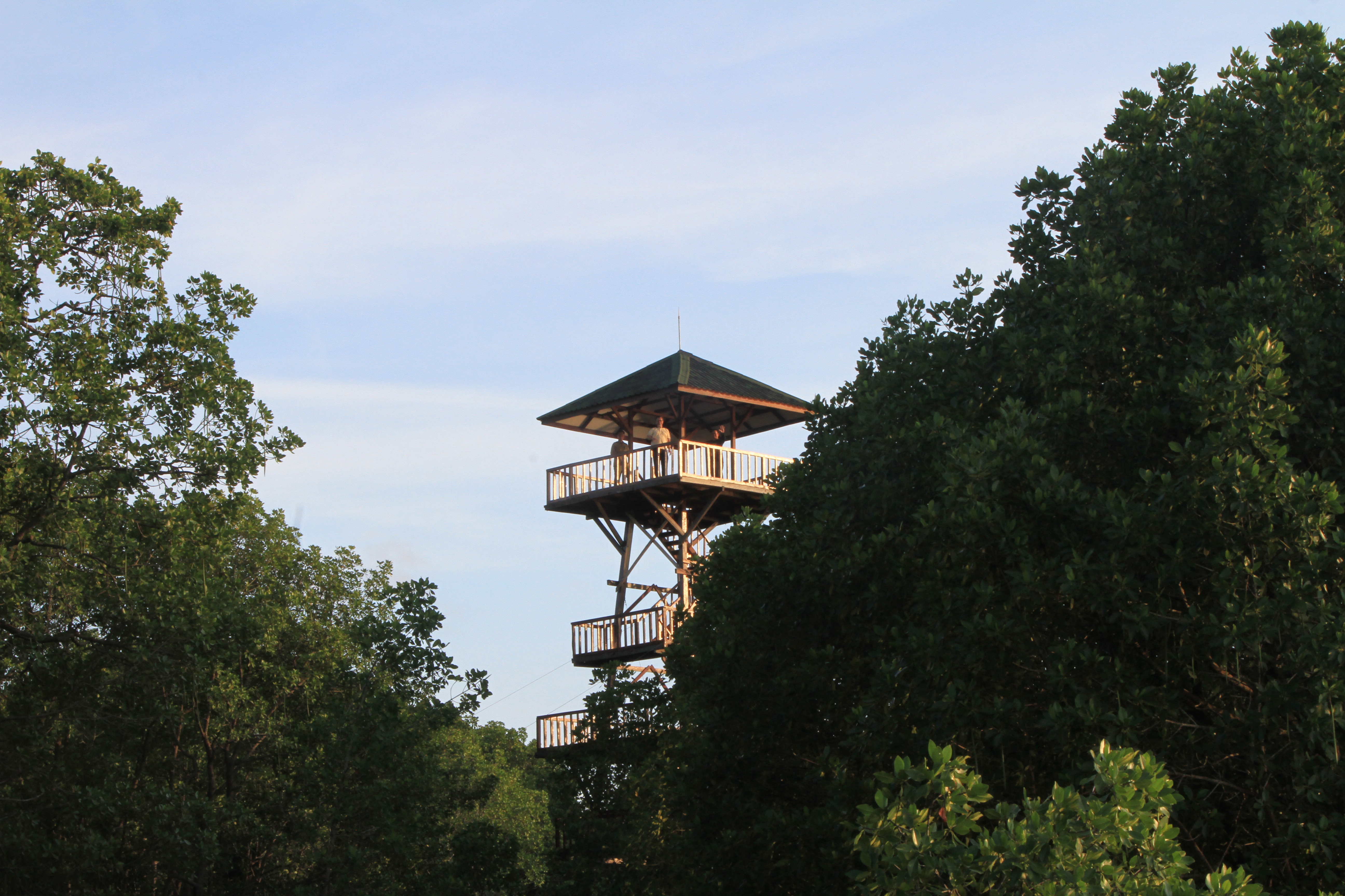 Konservasi Taman Nasional Kutai