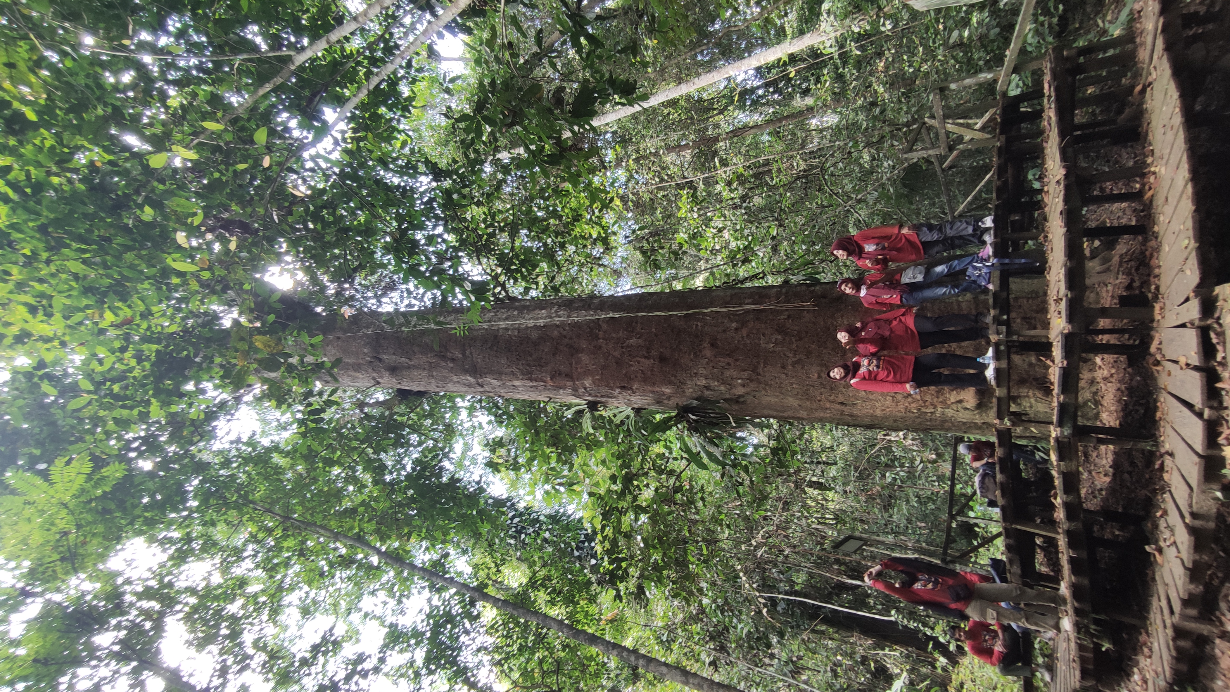 Sangkima Jungle Park