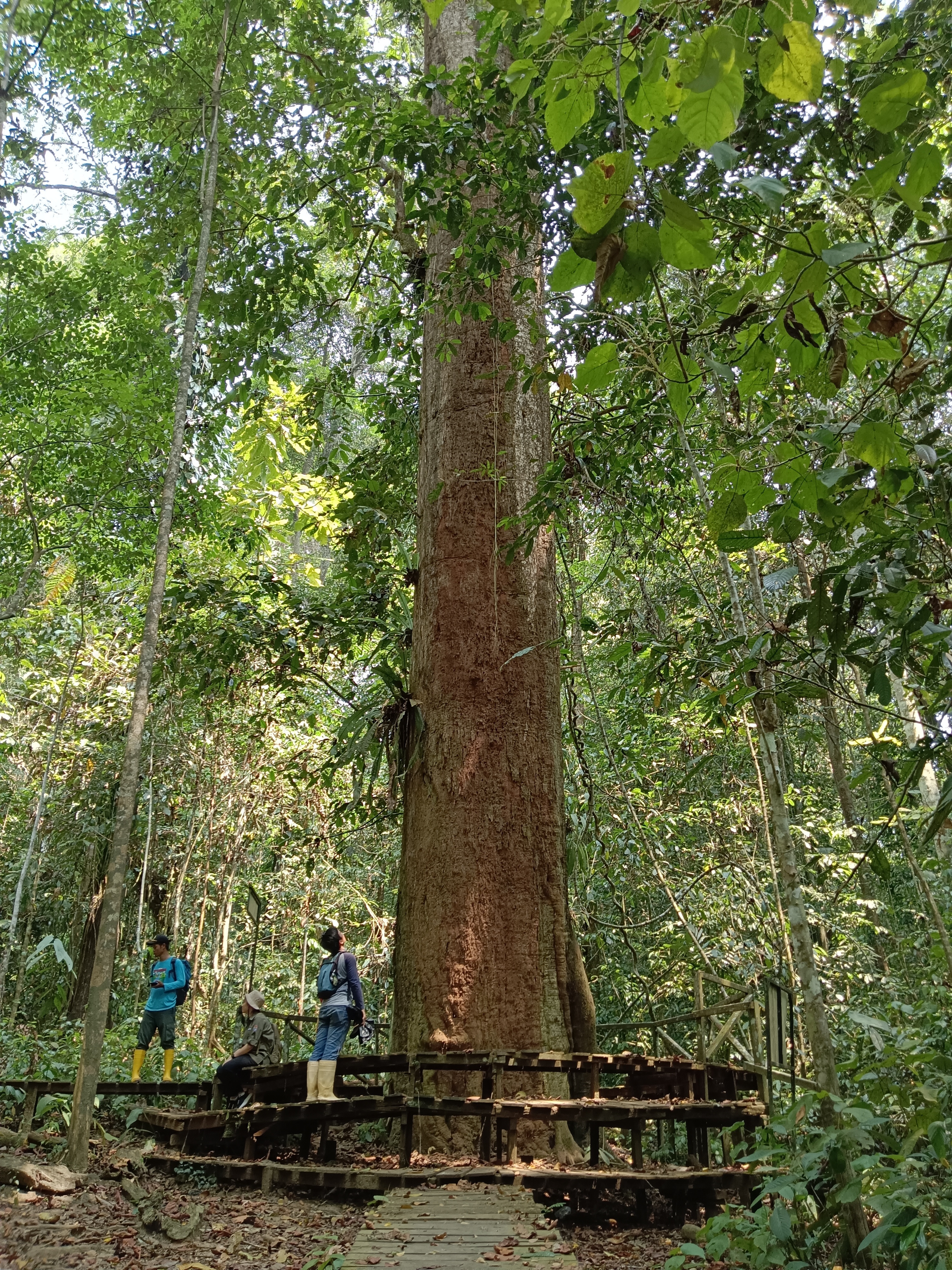 Sangkima Jungle Park